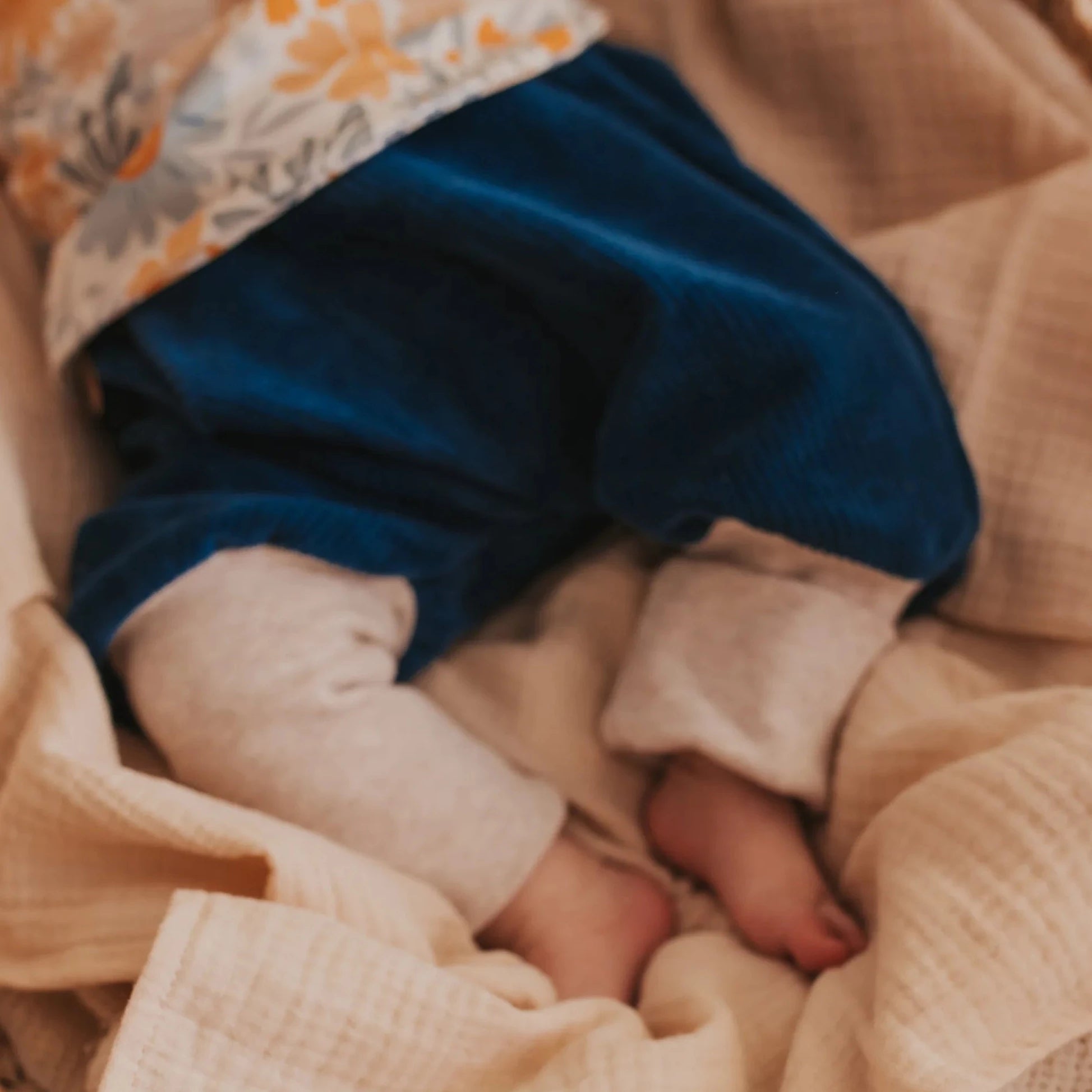 Knickerbou "Cord Petrol“ - 50/56 & 62/68