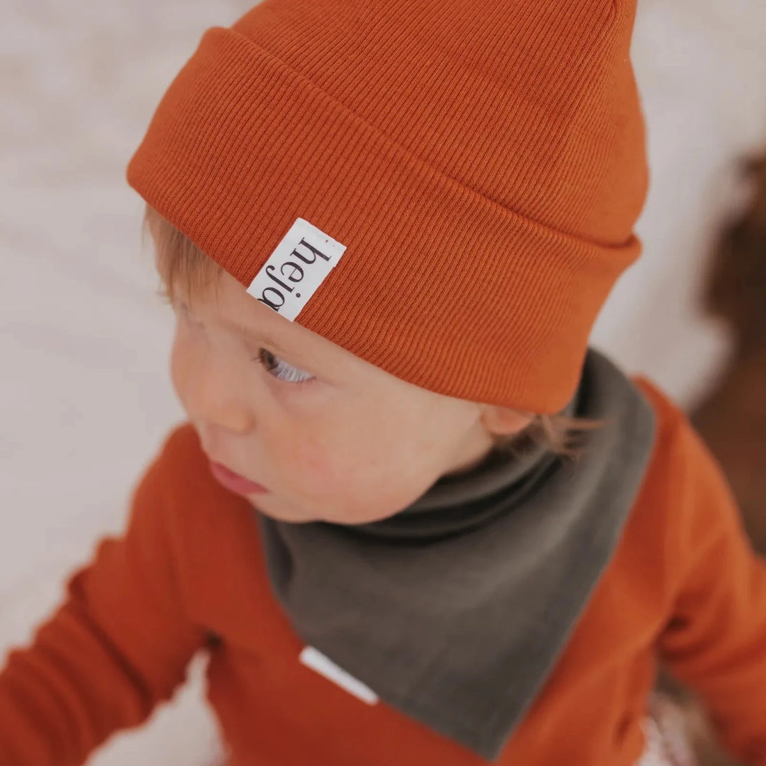 Rib Beanie Rost